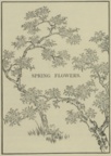 01_spring_flowers.jpg