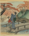 13_maples_at_oji.jpg