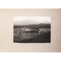 Show publication content!