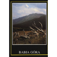 Show publication content!