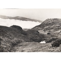 Show publication content!