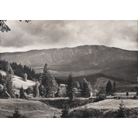 Show publication content!