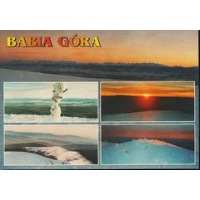 Show publication content!