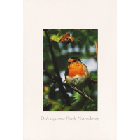 Show publication content!