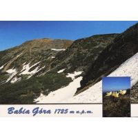 Show publication content!