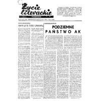 Show publication content!