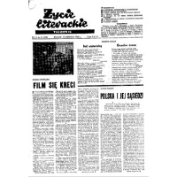 Show publication content!