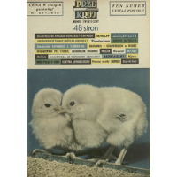 Show publication content!