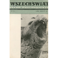 Show publication content!