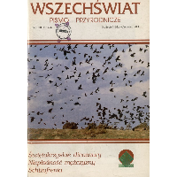 Show publication content!